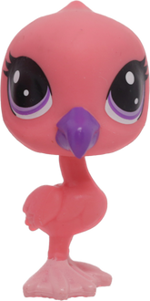 No # Flamingo